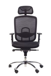 SILLON ERGONOMICO SWING