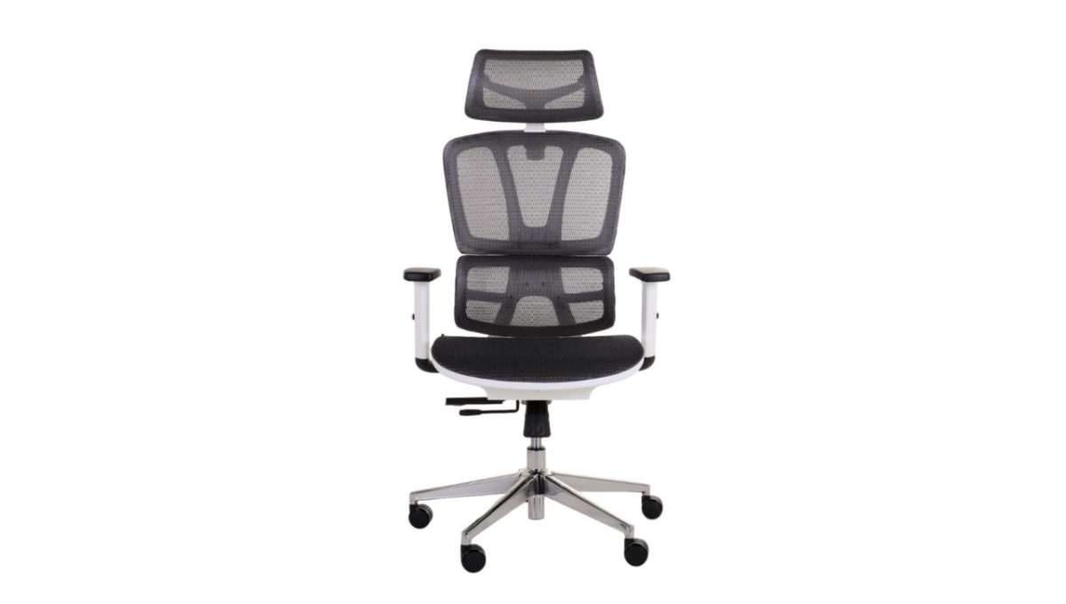 Zen Ergo Blanco